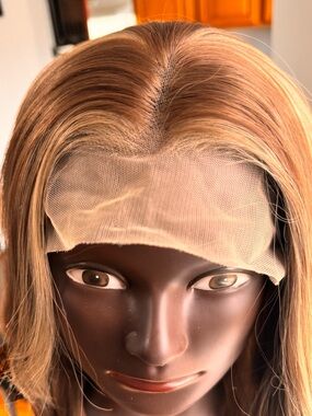 NOT FOR SALE  Model Sou Posh Honey Blonde Lace Front Wig - Long Wavy Highlights